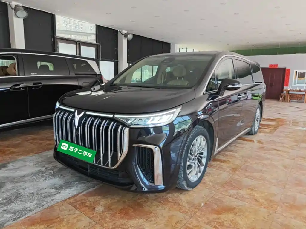 Voyah Auto Voyah Dreamer 2024 PHEV Extended Range Flagship Edition