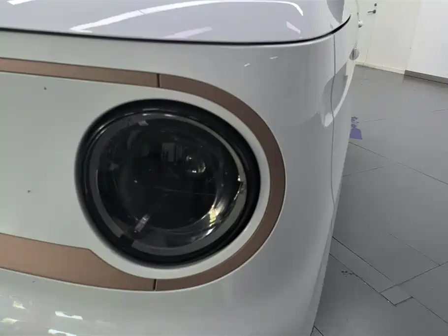 Geely Galaxy Panda 2024 Panda mini 200km Endurance Bear фото 5
