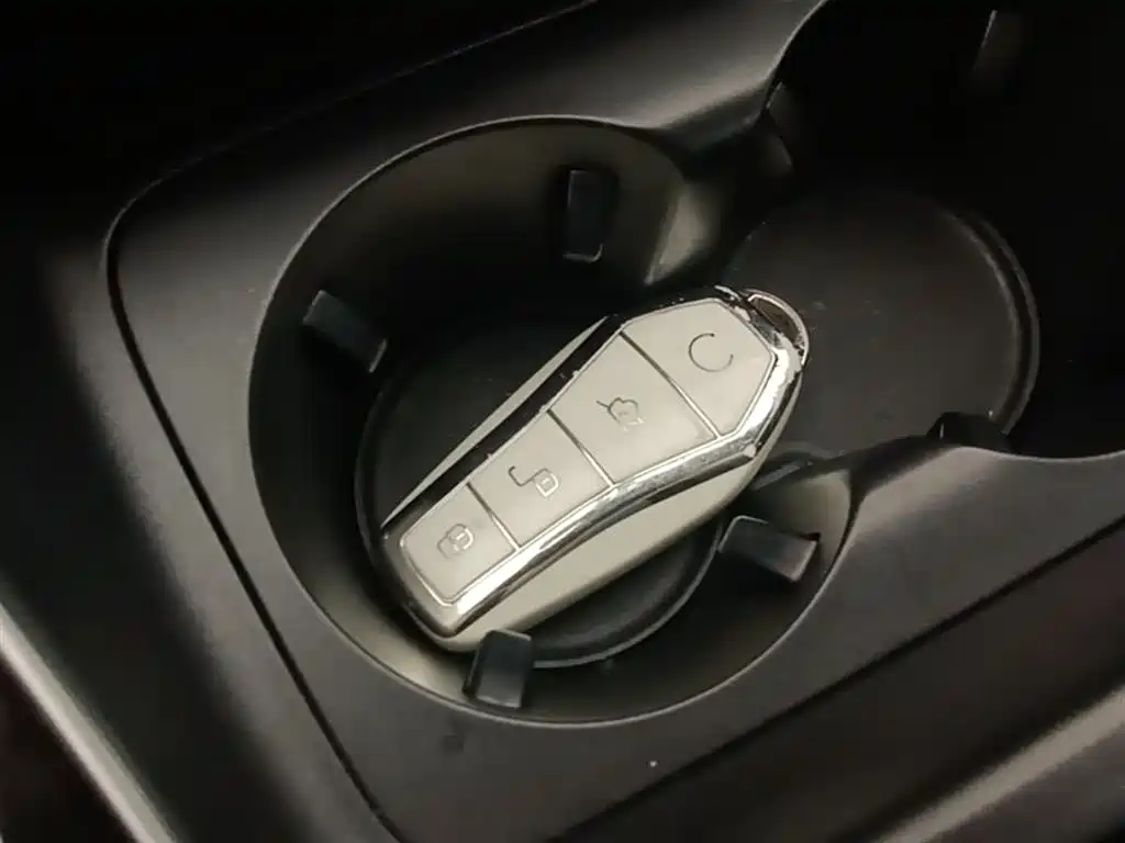 BYD Qin PLUS 2023 Champion Edition DM-i 120KM Excellence фото 9