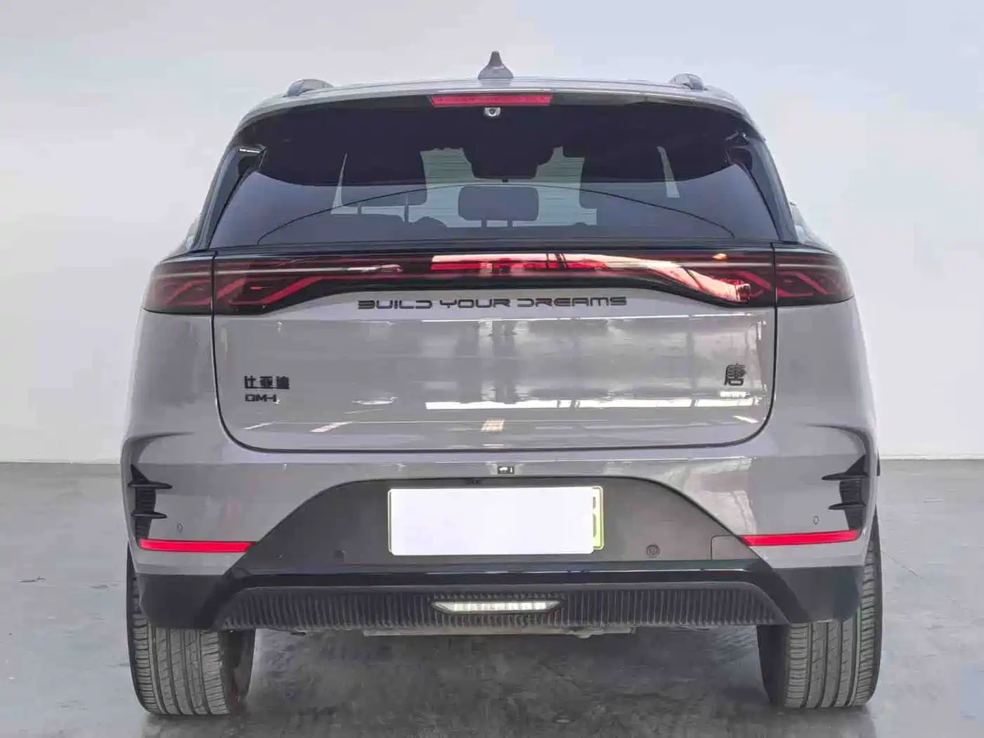 BYD Tang New Energy 2025 Smart Driving Edition DM-i 115KM Flagship фото 8