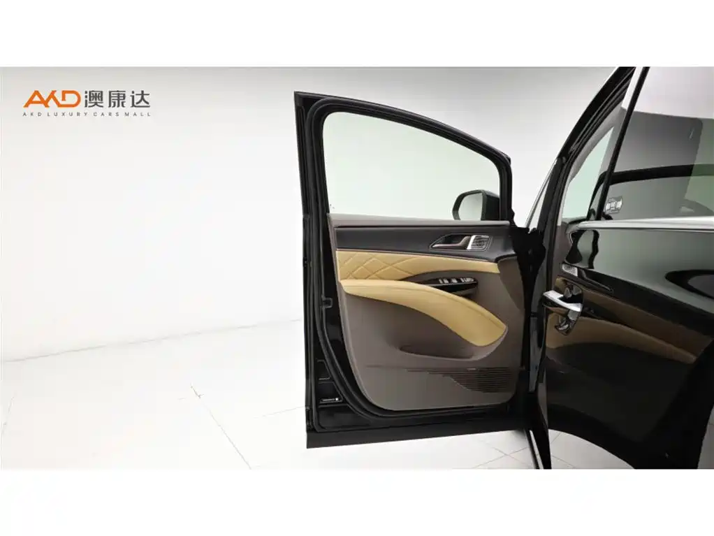 Denza D9 2022 DM-i 970 AWD Flagship фото 11