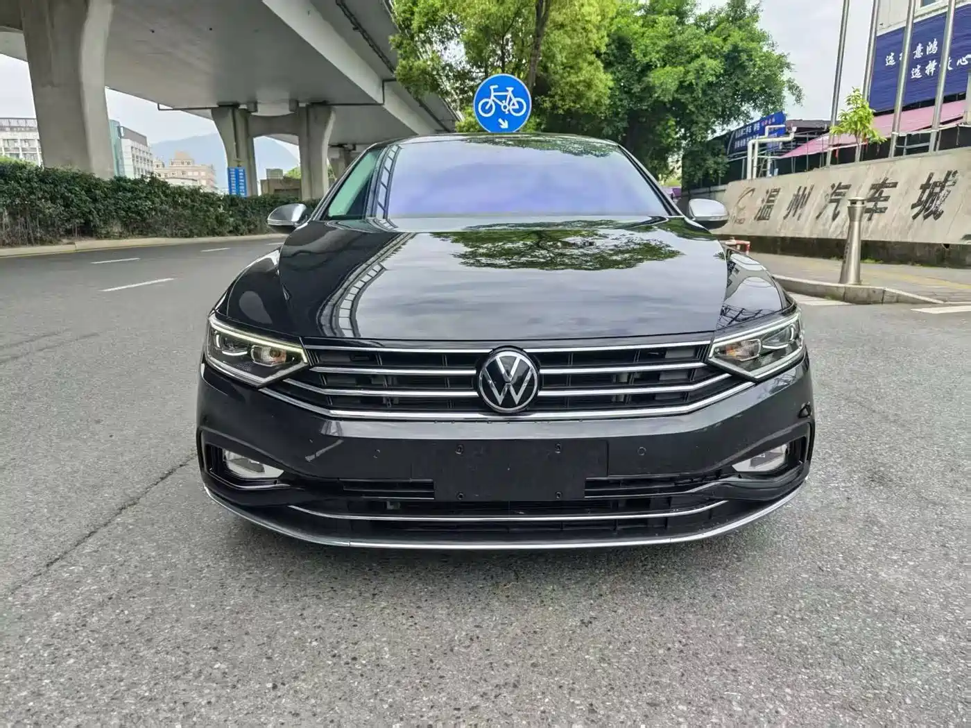 Volkswagen Magotan 2020 330TSI DSG Luxury