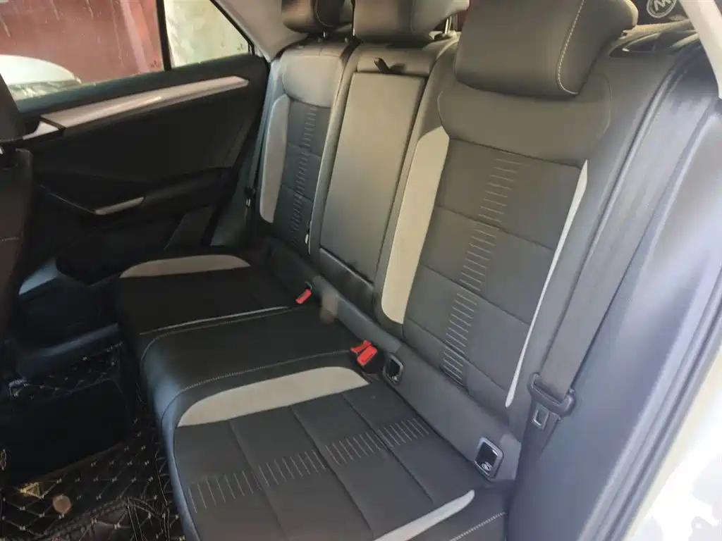 Volkswagen T-ROC 2019 230TSI DSG 2WD Progressive Version China VI фото 14