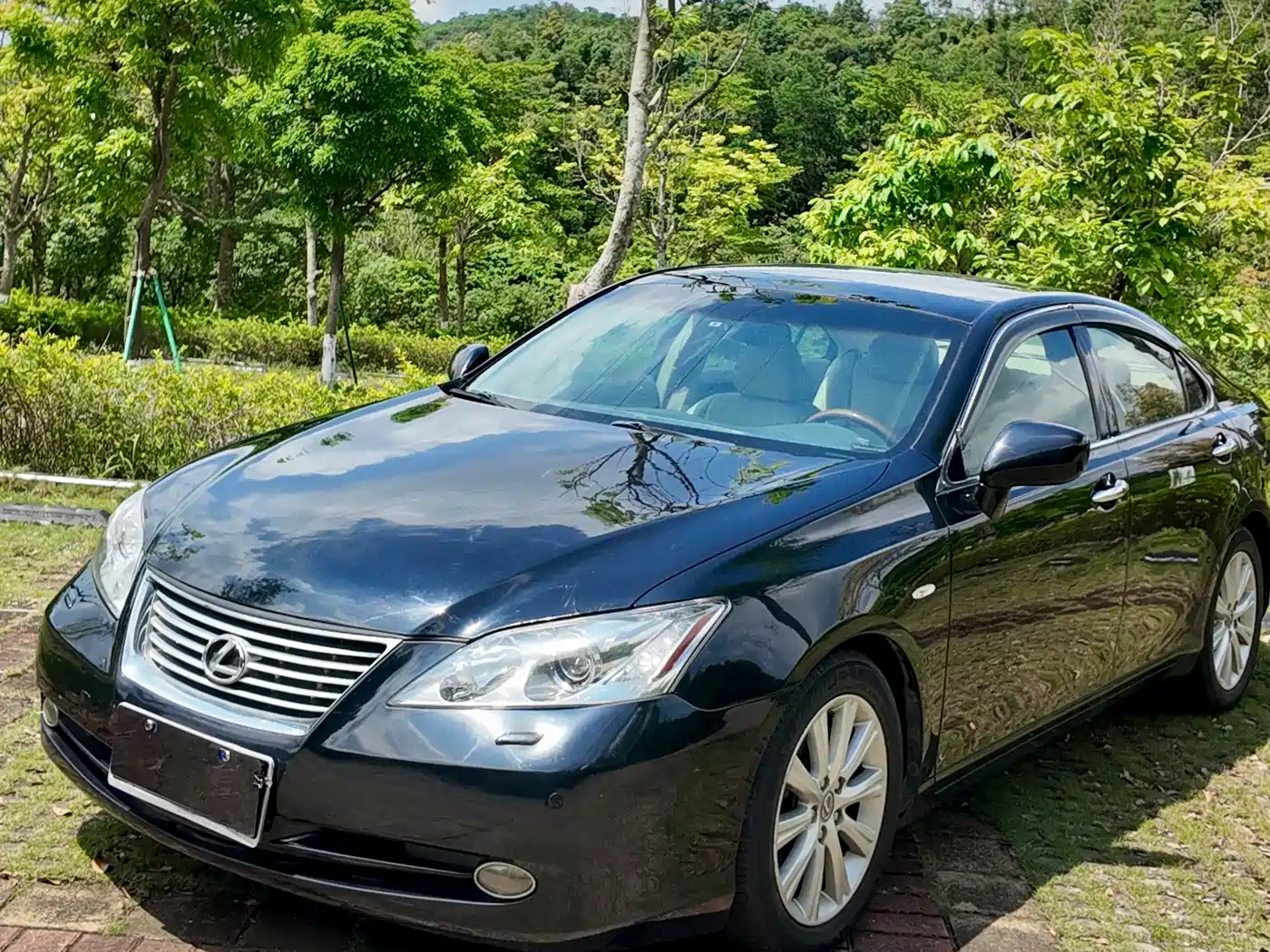 Lexus ES 2010 350 Luxury Edition фото 29