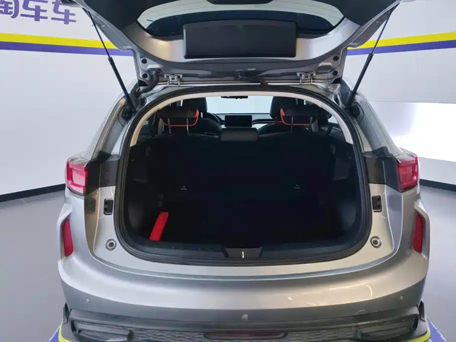 Haval Chitu 2022 2021 Turbo Edition 1.5T Golden Rabbit