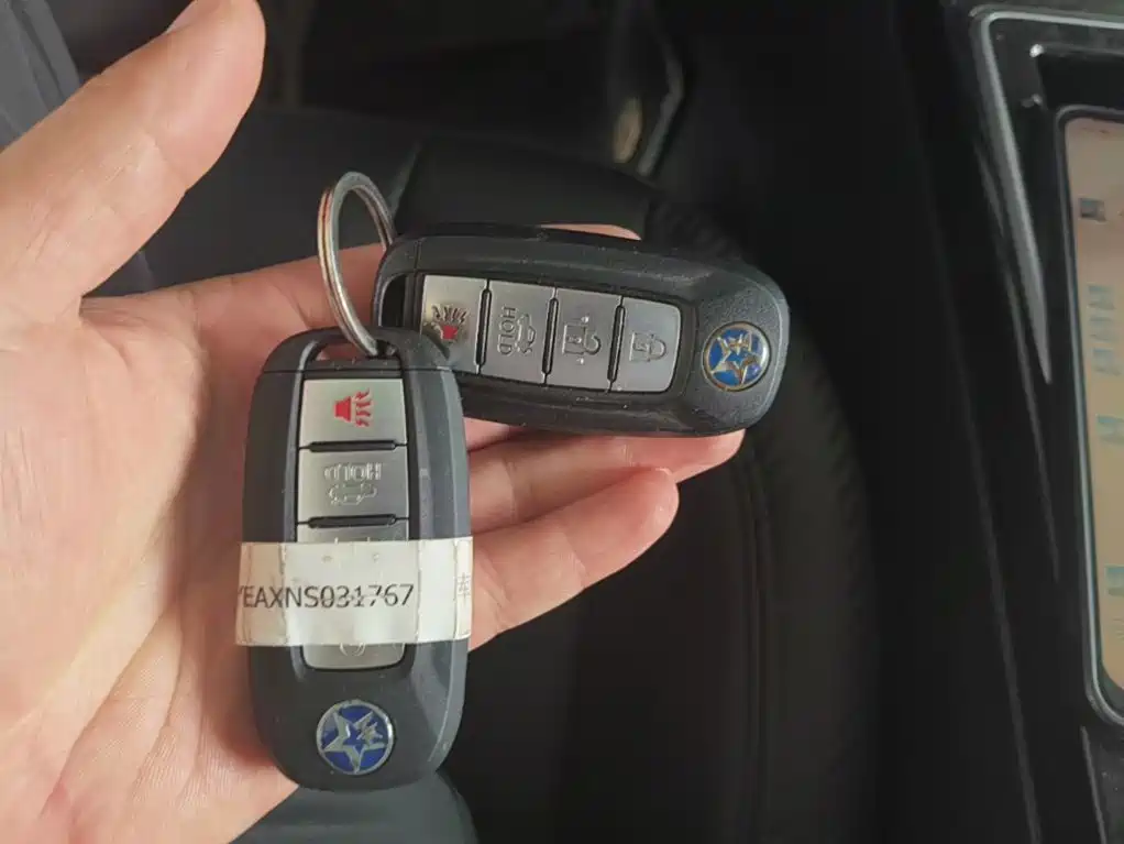 Venucia D60EV 2022 2020 Standard Range Smart Edition