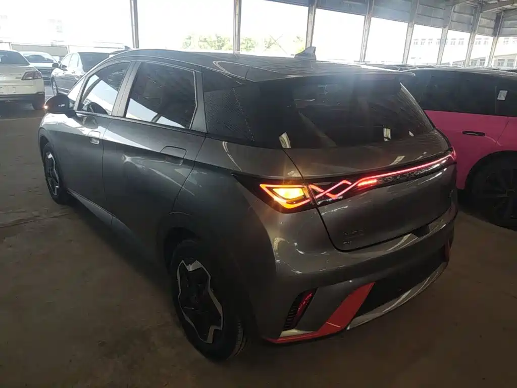 Фото 5 - BYD Dolphin