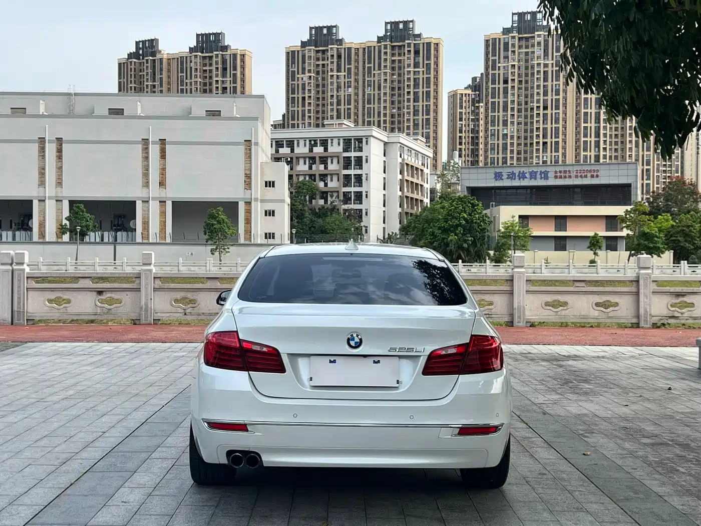 BMW 5 Series 2014 525Li Luxury Design Package фото 8