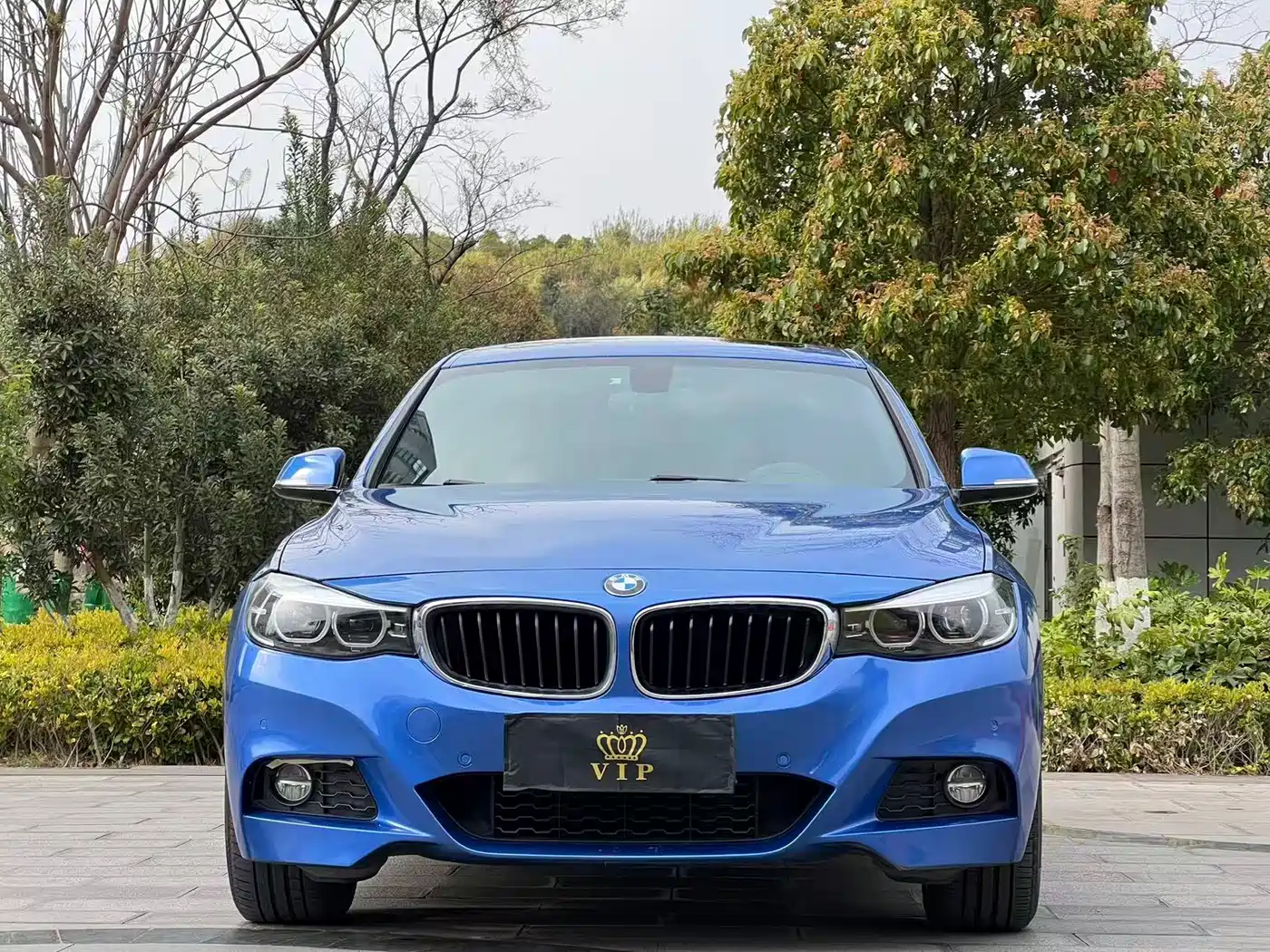 BMW 3 Series GT 2018 320i Fashion фото 2