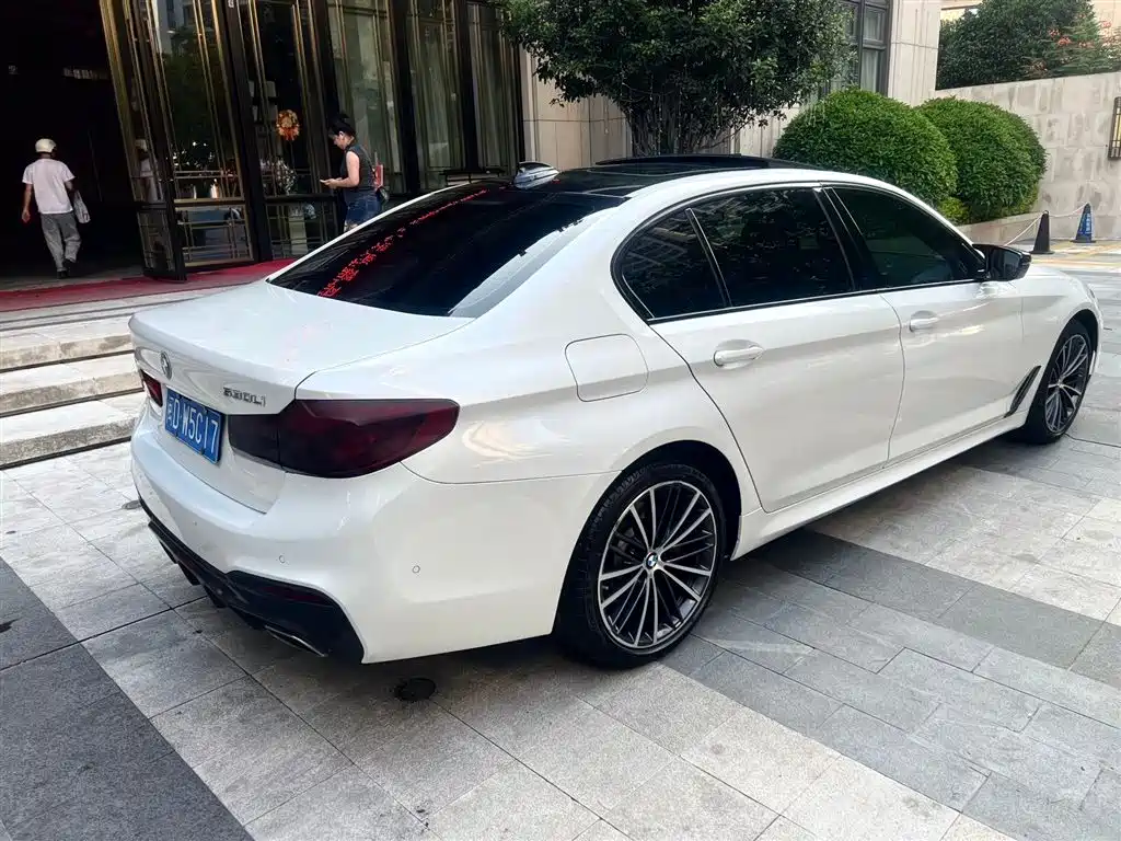 BMW 5 Series 2020 530Li Exclusive M Sport Package фото 6