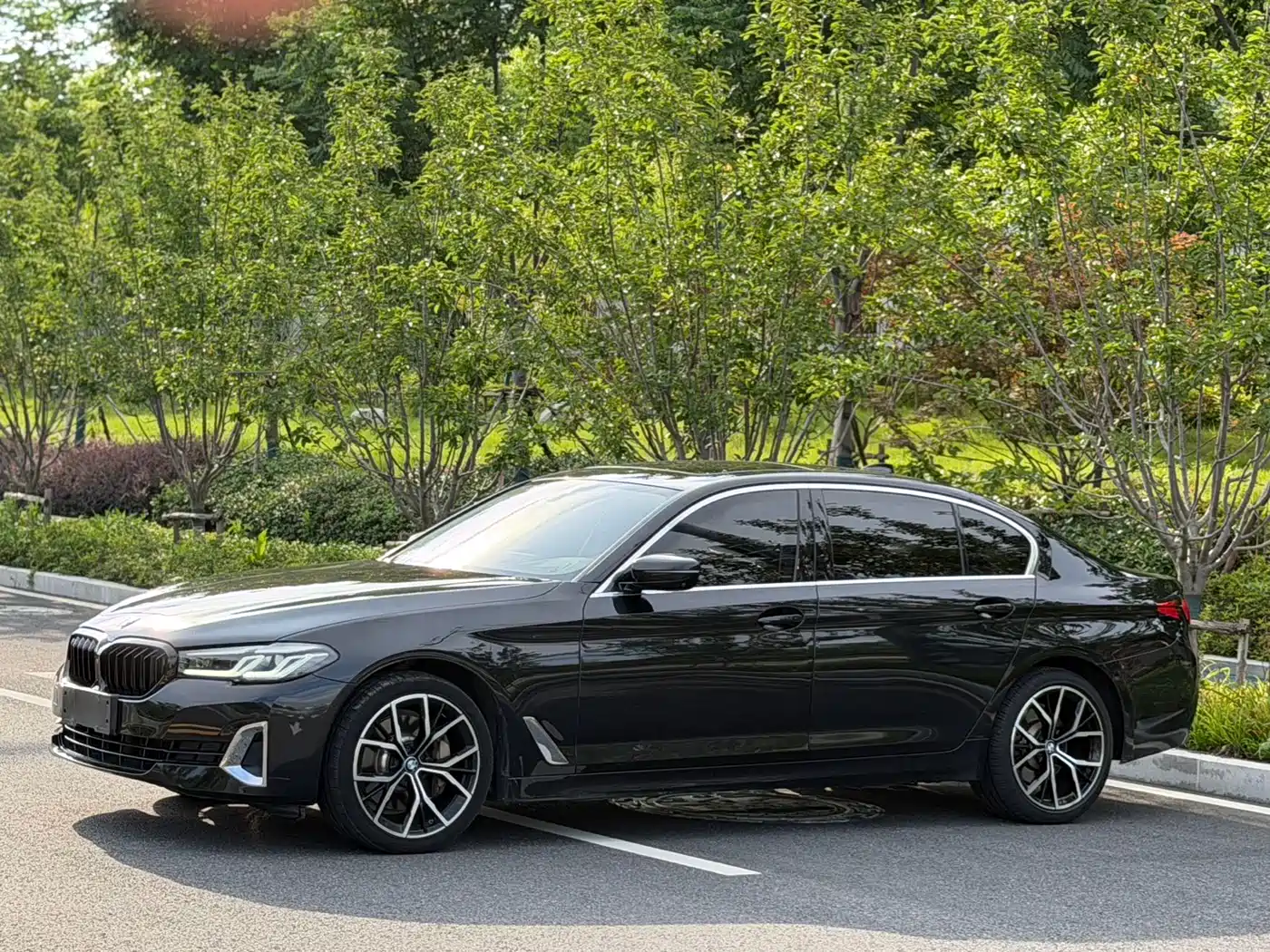 BMW 5 Series 2021 530Li Premium Luxury Package