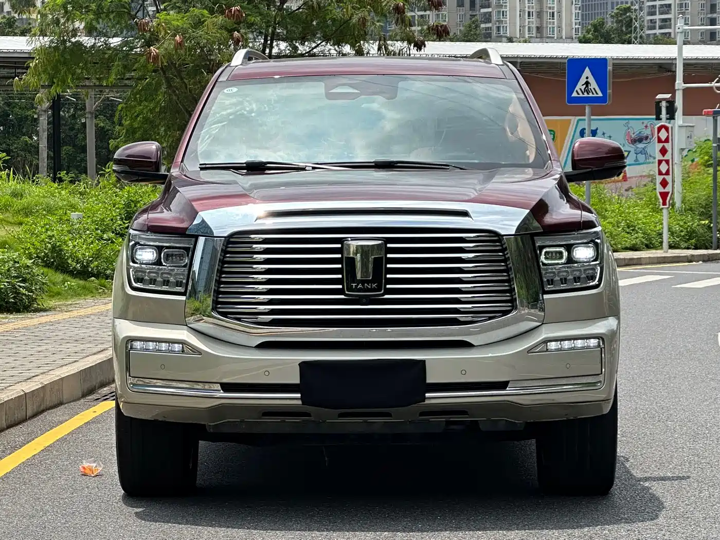 Tank 500 2023 3.0T Special Custom Edition (5-seater) фото 2