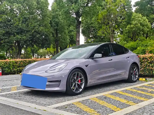 Tesla Model 3 2021 Performance High-Performance All-Wheel Drive
