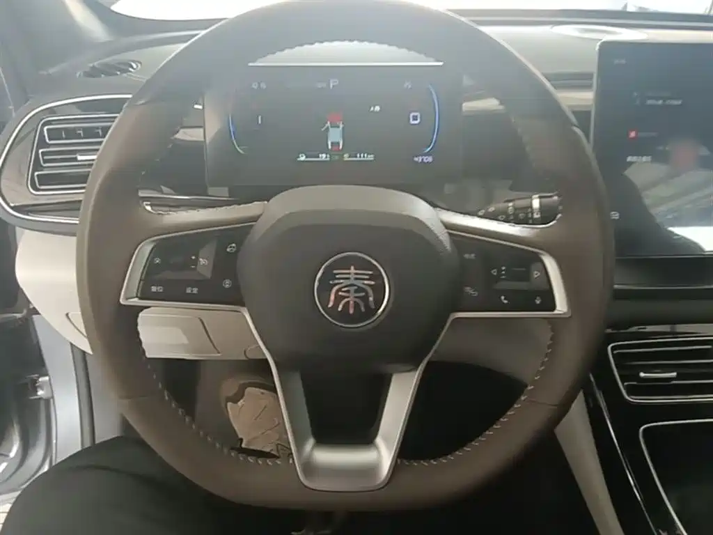BYD Qin PLUS 2023 Champion Edition DM-i 120KM Excellence фото 11