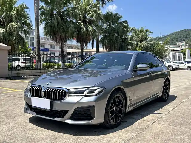 BMW 5 Series (Import) 2021