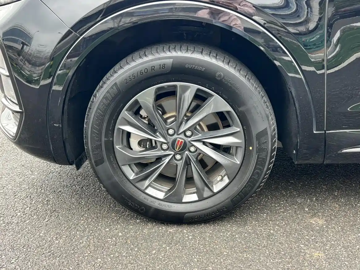 Hongqi HS5 2023 2.0T Flag Joy Pro Edition фото 19