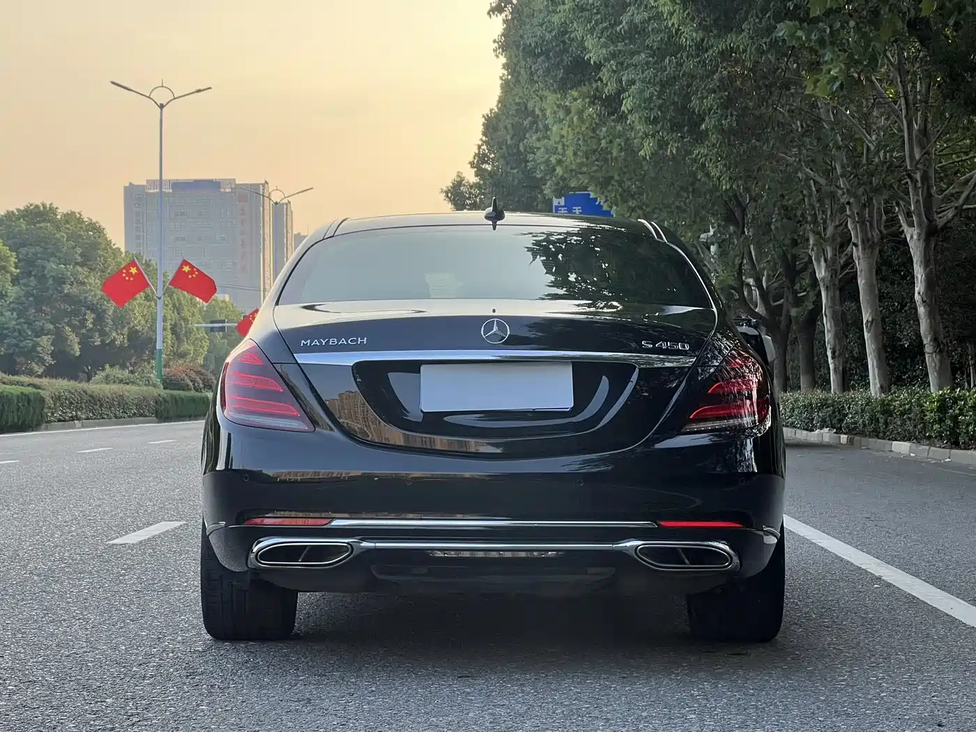 Mercedes-Benz Maybach S-Class 2018 S 450 4MATIC фото 18