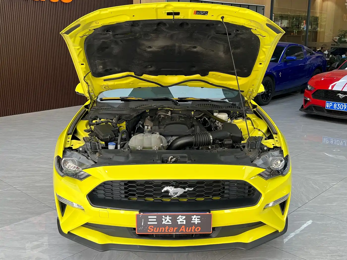 Ford Mustang 2023 2021 2.3L EcoBoost Light Recapture Limited Edition