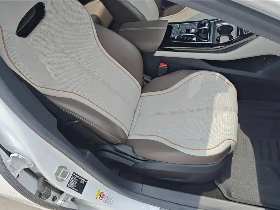 BYD Qin PLUS 2024 Glory Edition EV 420KM Leading фото 8