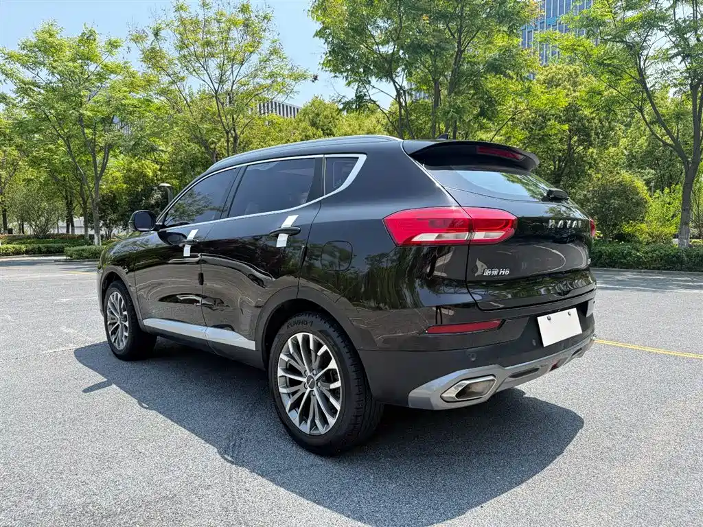 Haval H6 2020 1.5GDIT Automatic Platinum Champion Edition фото 13