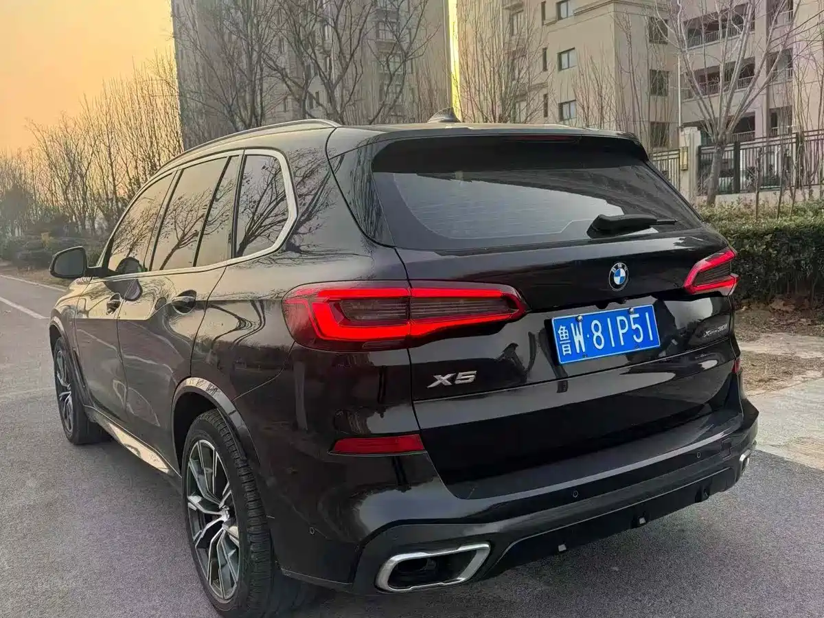 BMW X5 (Import) 2019 xDrive30i M Sport Package фото 6