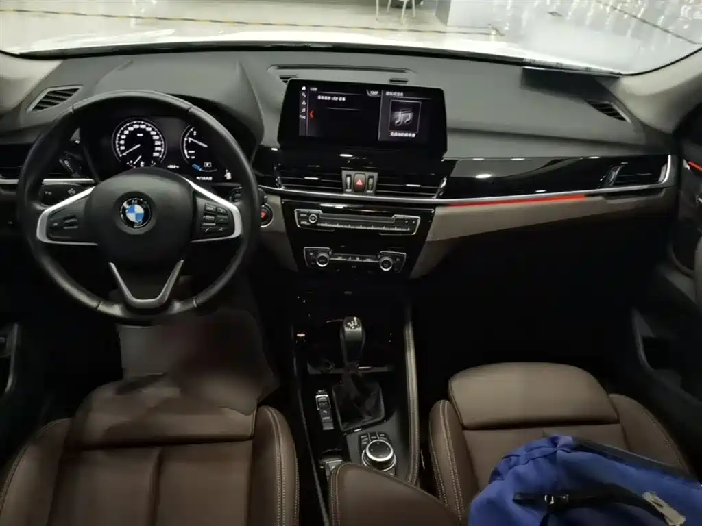 BMW X1 New Energy 2020 xDrive30Le Premium Edition фото 10
