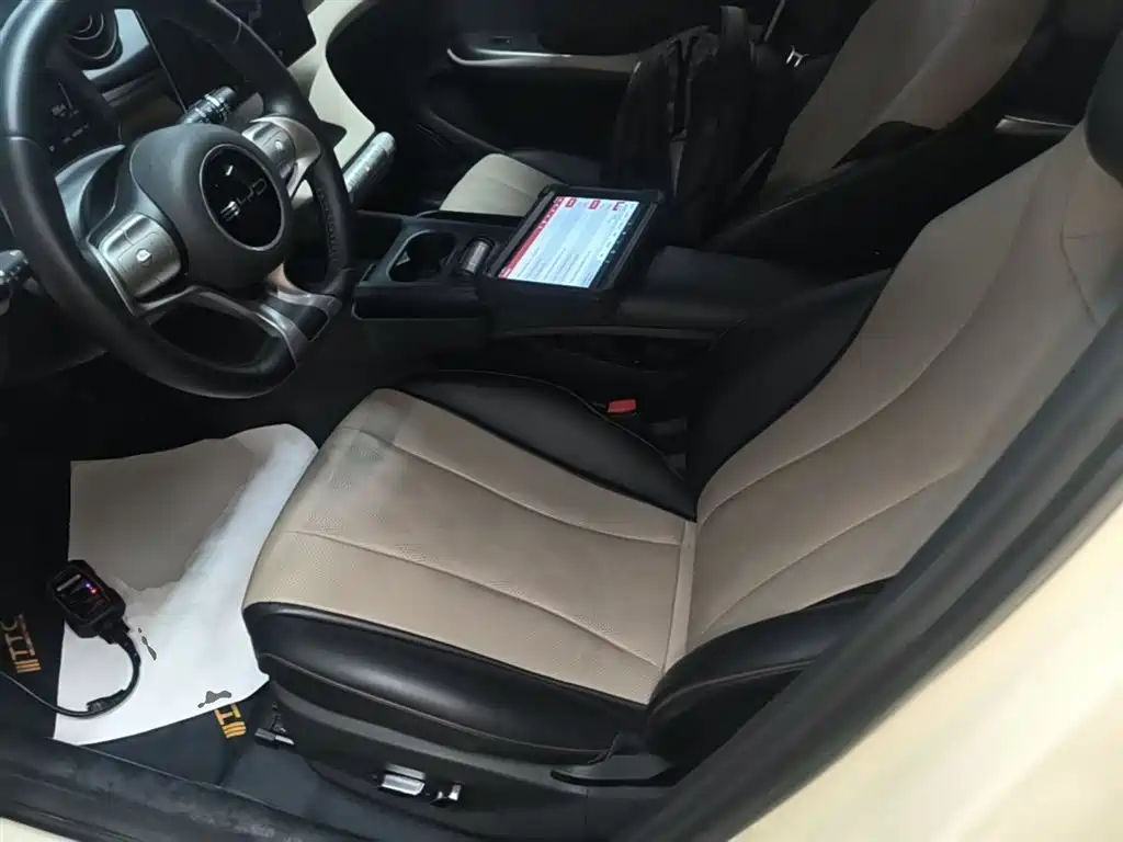BYD Dolphin 2023 420km Fashion Edition фото 15