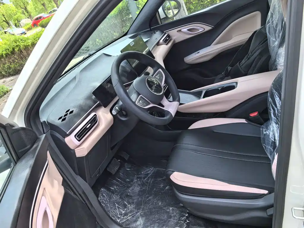 BYD Seagull 2026 2025 Smart Drive Edition 305km Vitality Version