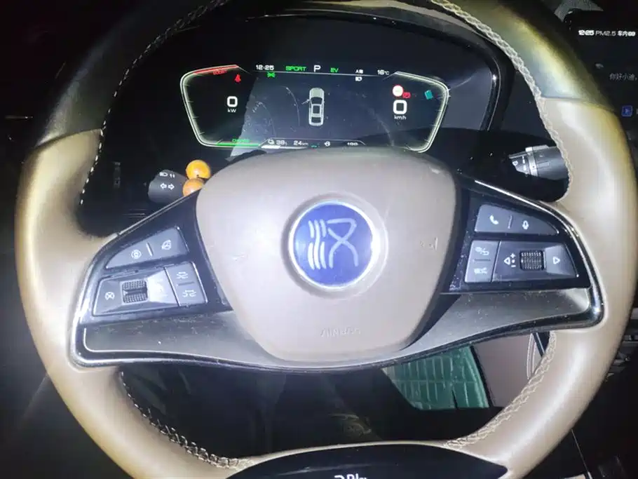 BYD Han 2020 DM AWD Performance Luxury Edition фото 15