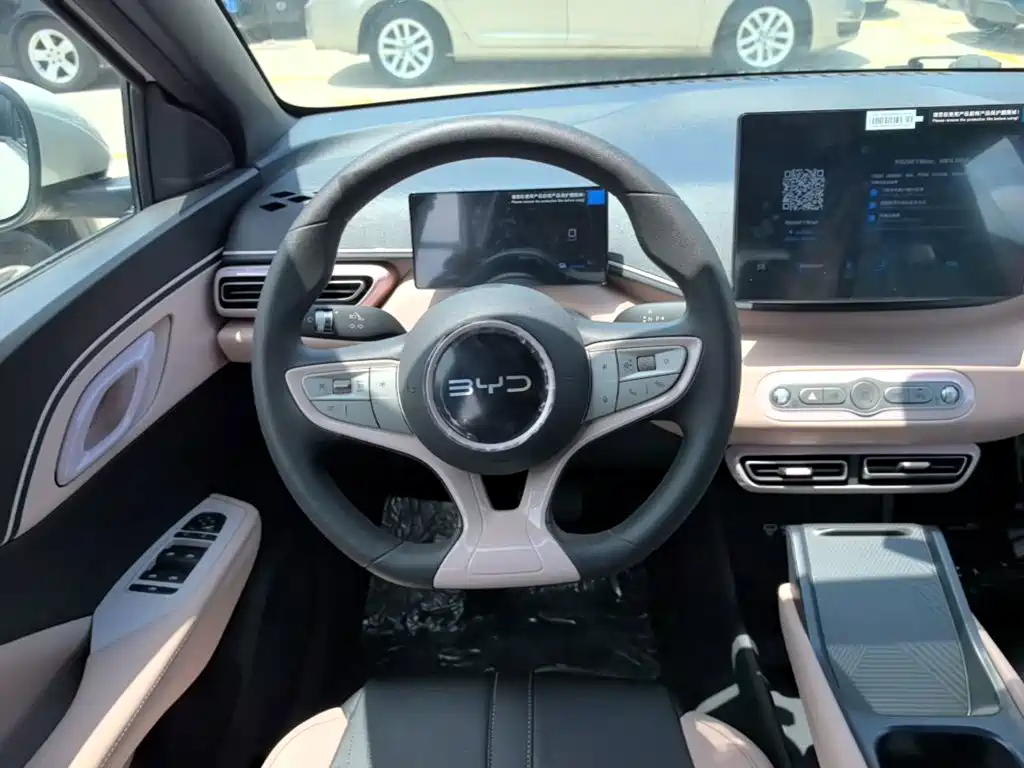 BYD Seagull 2026 2025 Smart Drive Edition 305km Vitality Version