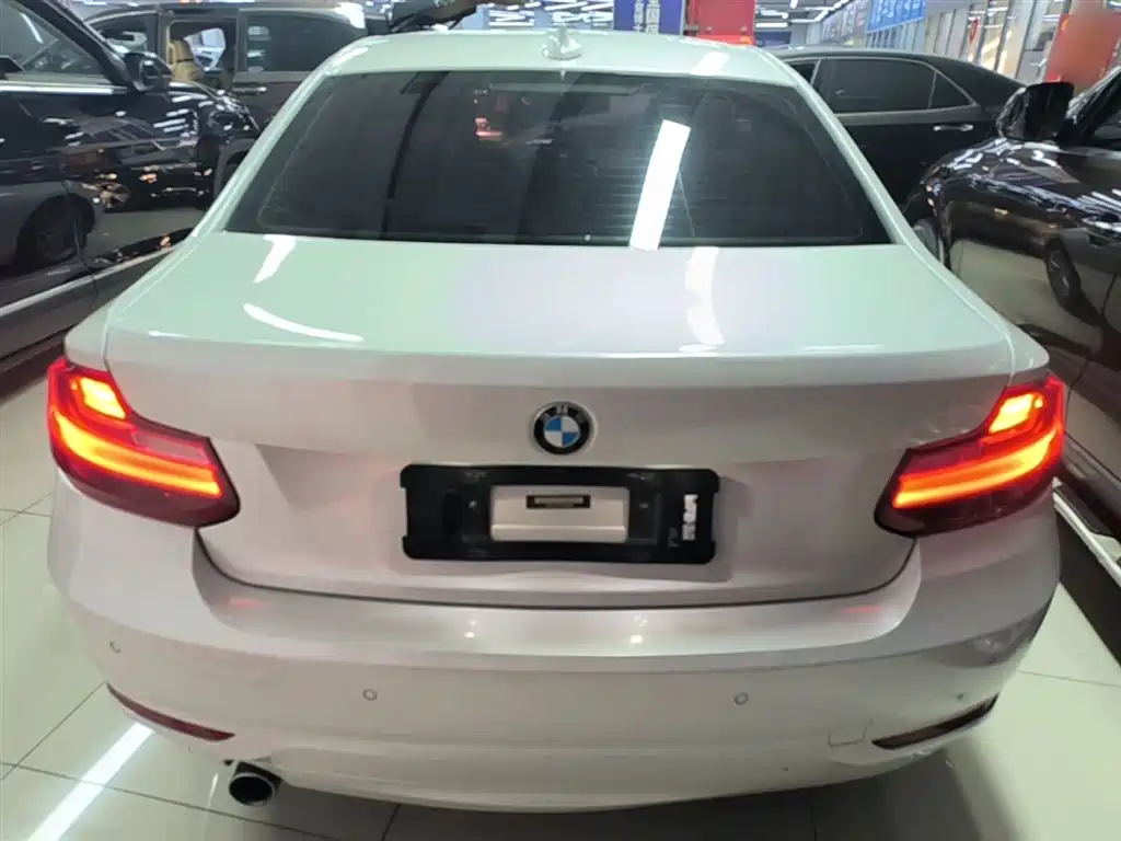 BMW 2 Series (Import) 2015 218i фото 6