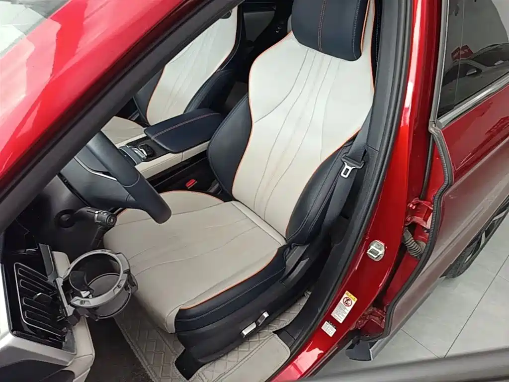 BYD Song PLUS PHEV 2021 EV Premium Model фото 15