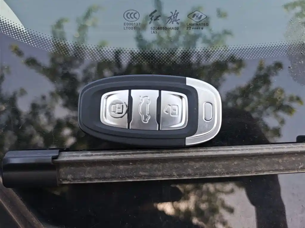 Hongqi E-QM5 2021 Charging Flag Joy Edition фото 9