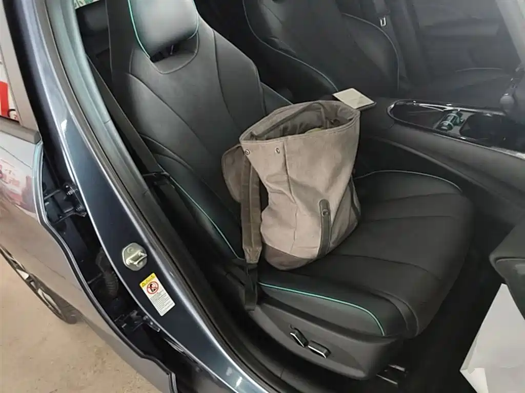 BYD Dolphin 2023 401km Knight Edition фото 25