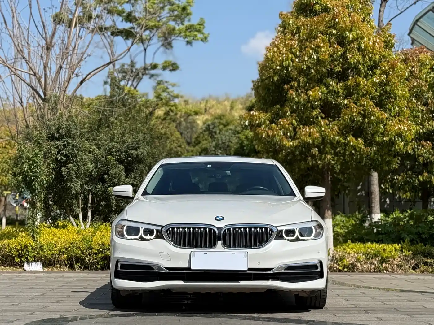 BMW 5 Series 2019 530Li Leading Luxury Package фото 2