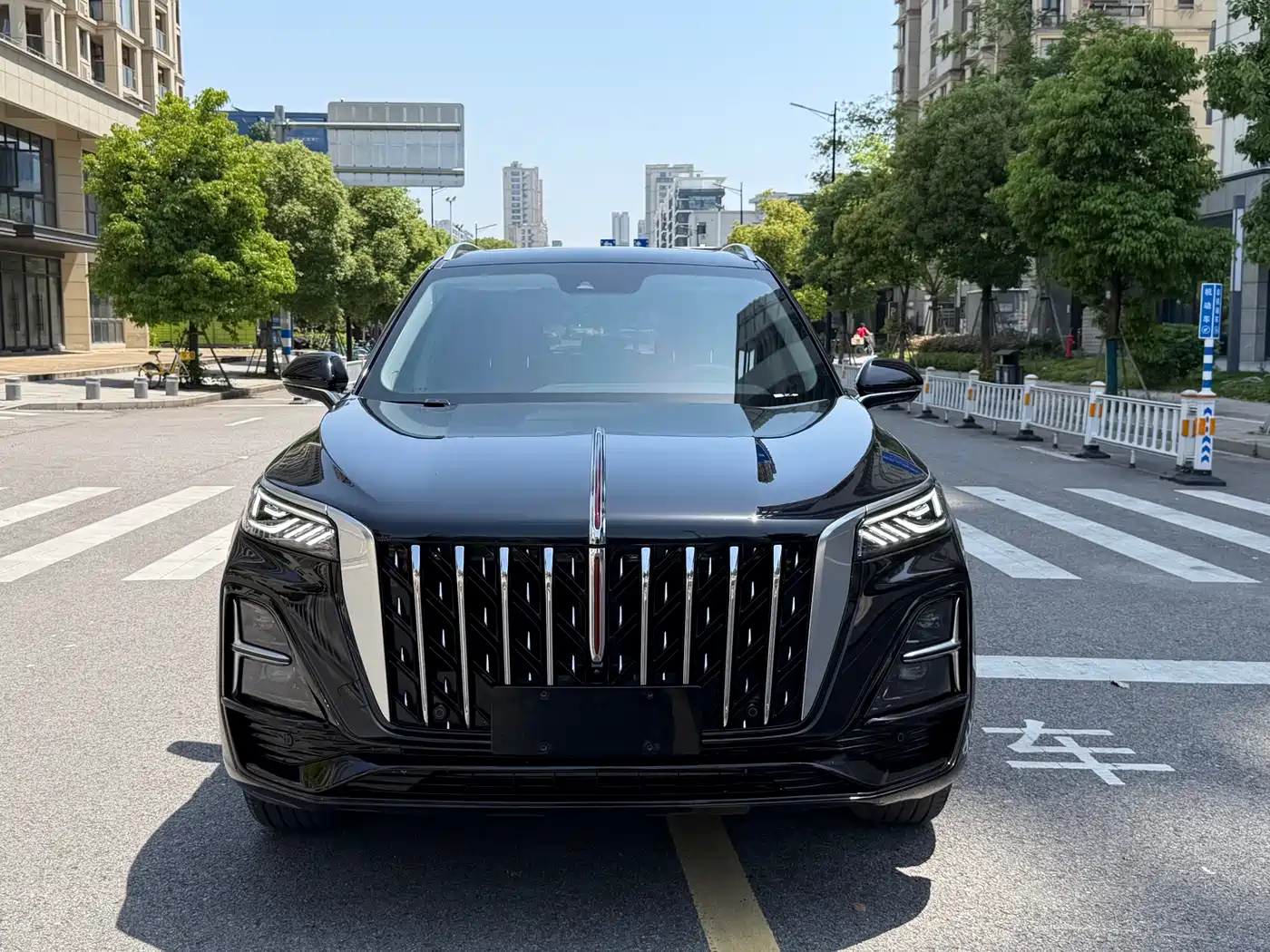 Hongqi HS5 2023 2.0T Flag Enjoy Pro Edition фото 2