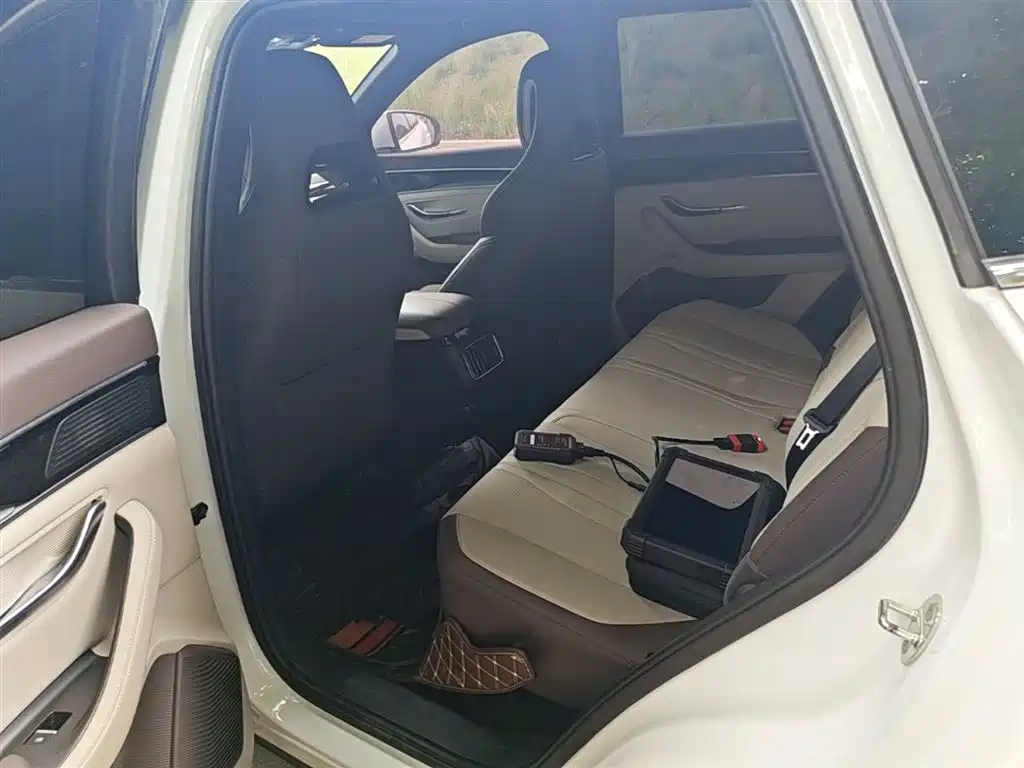 BYD Song PLUS PHEV 2025 DM-i 112KM Honor фото 17