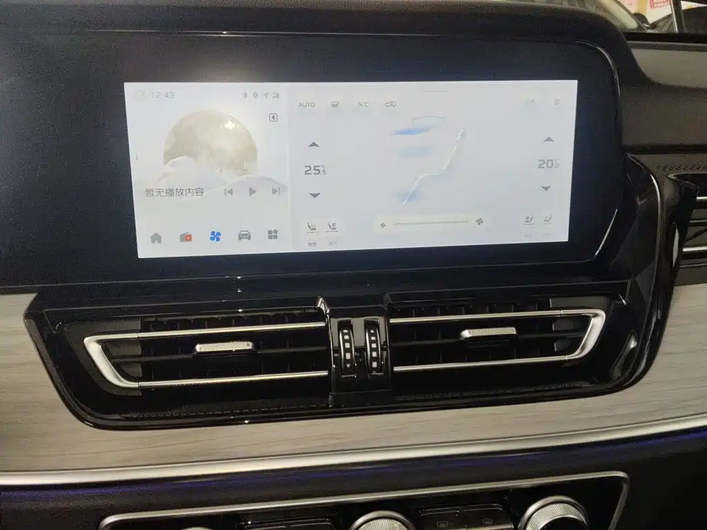 Hongqi HS5 2025 2025 2.0T 2WD Qixiang Pro