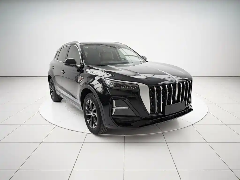 Hongqi HS5 2025 2025 2.0T 2WD Qixiang Pro
