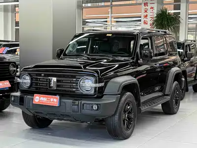 Tank 300