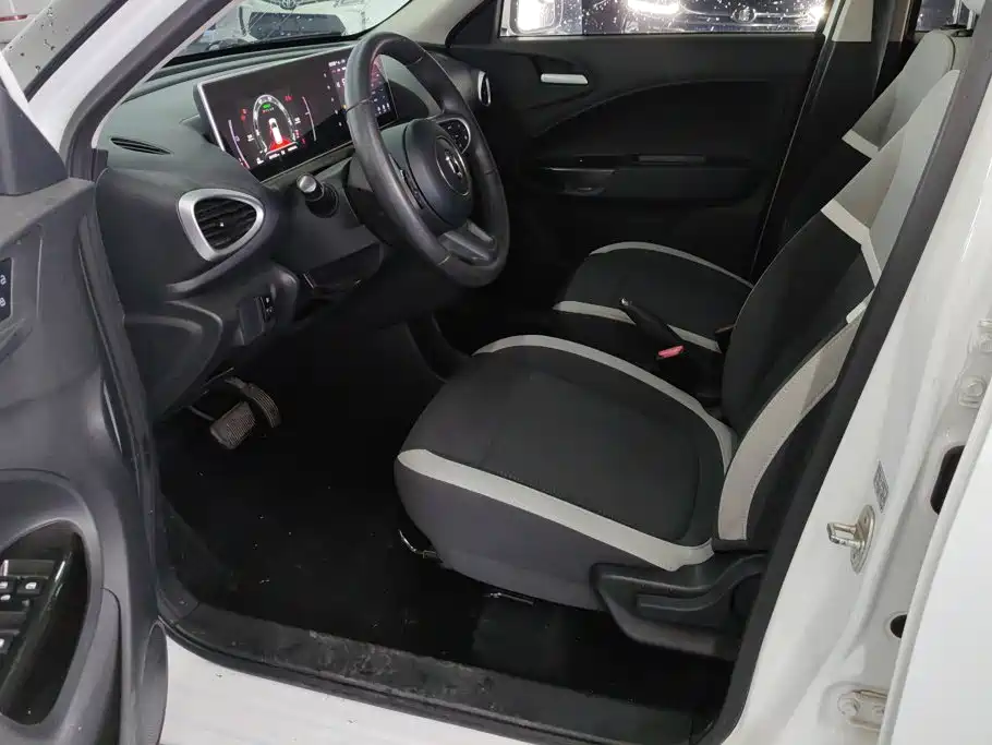 Ora White Cat 2020 2020 360km Standard Model
