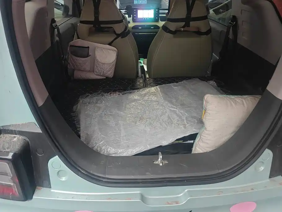 Geely Galaxy Panda 2023 2023 Panda Mini 200km Endurance Bear