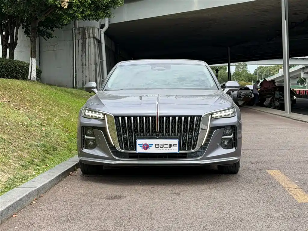 Hongqi H5 2023 2.0T Auto Smart Connect Flag Enjoy фото 2