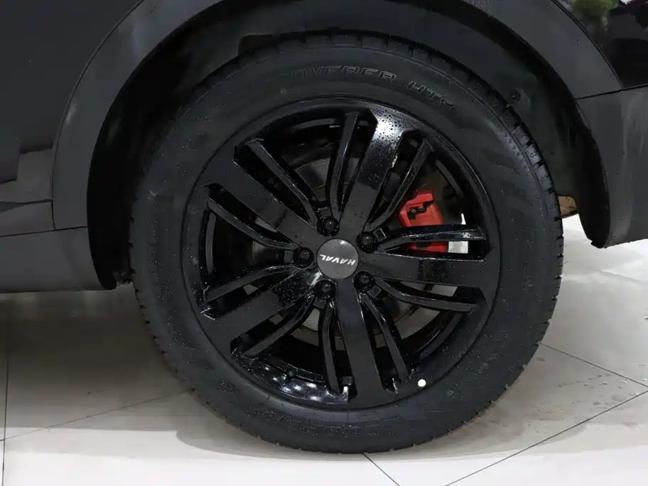 Haval H6, миниатюра 20