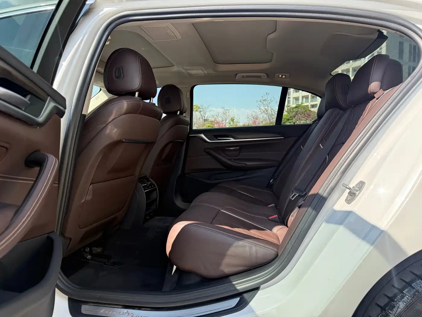 BMW 5 Series 2019 530Li Leading Luxury Package фото 6