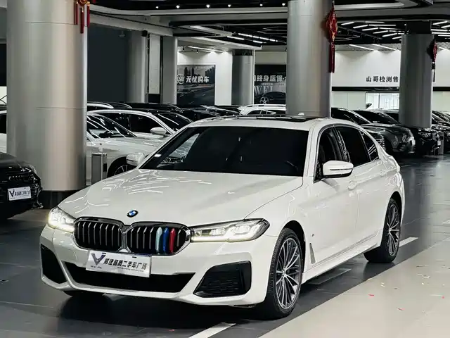 BMW 5 530Li, Лидер, M Спорт-пакет