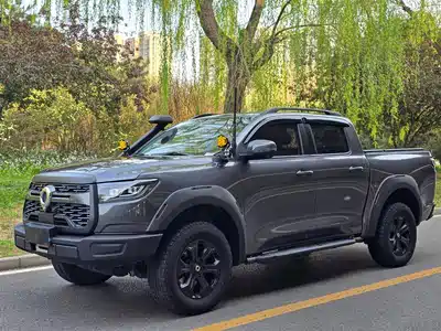 Great Wall Poer