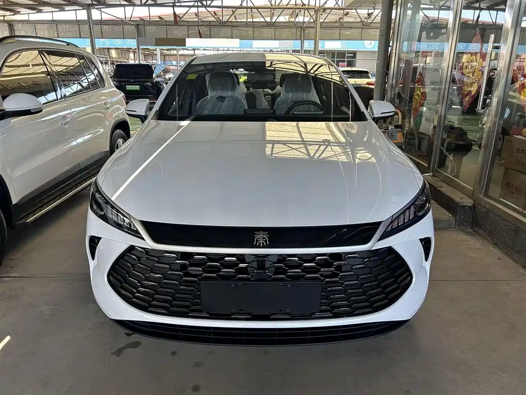 BYD Qin PLUS 2026 DM-i 128KM Progressive фото 2