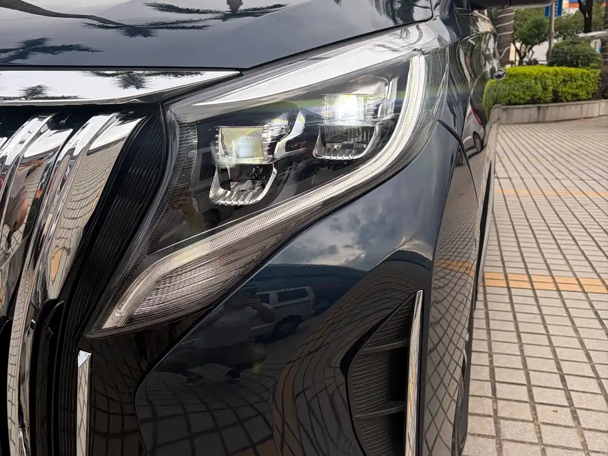 GAC Trumpchi Trumpchi M8 2021 Master Series 390T Prestige Edition фото 4