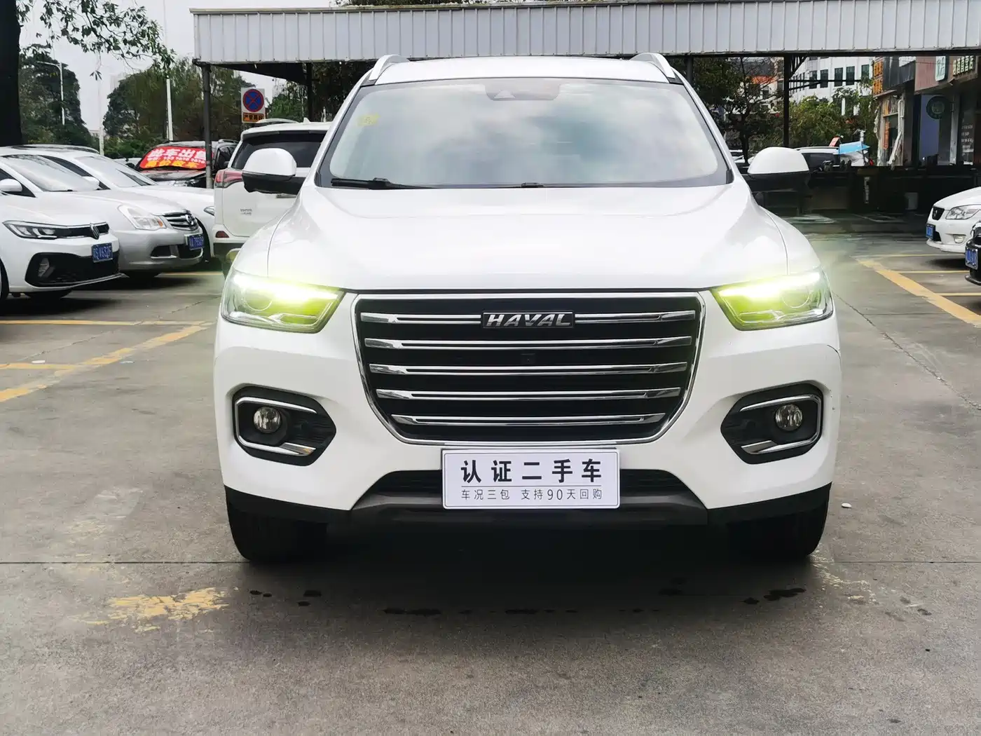 Haval H6 2020 2.0GDIT Automatic Platinum Luxury Edition фото 2